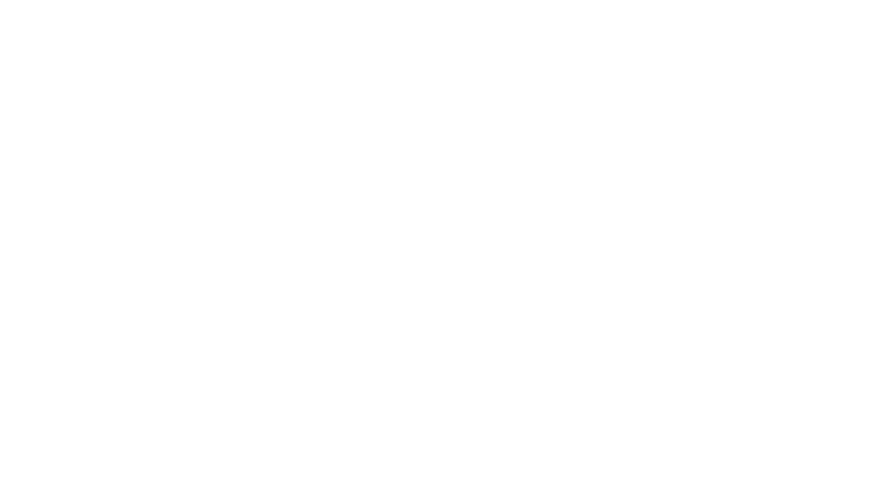 Merrer Studio · Negativo